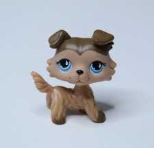 Littlest pet shop gebraucht kaufen  Villmar