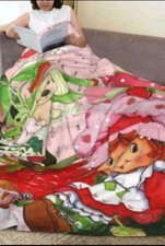 Strawberry shortcake blanket for sale  Wildomar