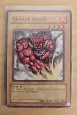Carta grande angus usato  Resana