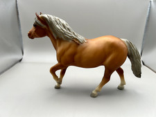 haflinger horse for sale haflinger horse for sale Chattanooga