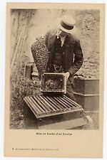 Postcard beekeeping beekeeping d'occasion  Expédié en Belgium