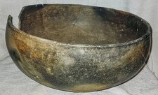 Wonderful large prehistoric for sale  Glendale