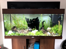 Aquarium juwel rio d'occasion  Amiens-