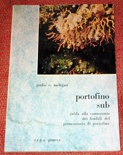 Giulio melegari portofino usato  Camaiore