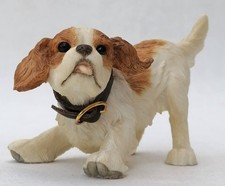 Barkers cavalier king for sale  WARRINGTON