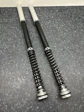 Bmw s1000rr gabel gebraucht kaufen  Hanhofen