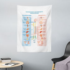 Anatomia arazzo nervoso usato  Spedire a Italy