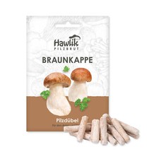 Braunkappe dübel pilze gebraucht kaufen  Langweid a.Lech