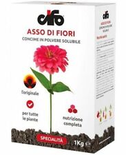 Cifo asso fiori usato  Modugno