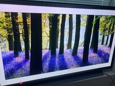 Oled55cxpua tv for sale  Long Island City