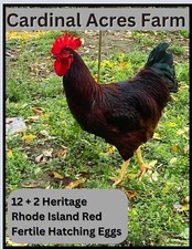 Heritage rhode island for sale  Raleigh