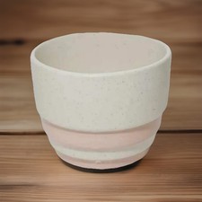 6.5x5 ceramic plant for sale  Webster