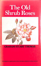 Old shrub roses for sale  DEVIZES