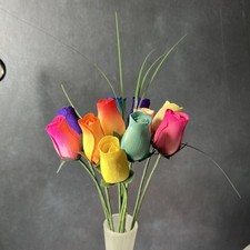 Wooden colorful long for sale  Spring
