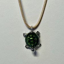 Green silver turtle for sale  Houston