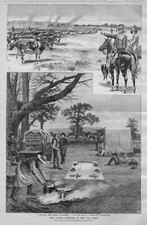 Cattle industry far for sale  New London
