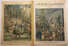 Domenica degli italiani usato  Italia