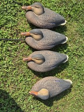 Set avery greenhead for sale  Ligonier