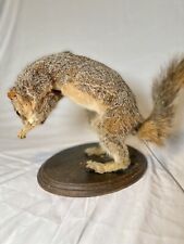Authentic movie prop for sale  Salt Lake City