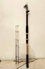 Canna pesca eagle usato  Acri