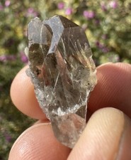Rare golden rutilated for sale  Marana