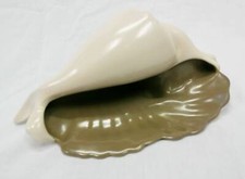 poole pottery shell for sale poole pottery shell for sale SOUTH SHIELDS