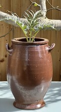 Large antique french for sale  NOTTINGHAM