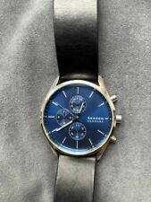 Skagen holst skw6066 for sale  NORWICH