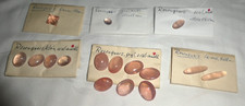 Posten schmuck edelsteine gebraucht kaufen  Cunewalde