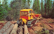 Vintage 1950s caterpillar for sale  Naples