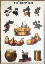 Ancienne affiche scolaire d'occasion  Lyon VII