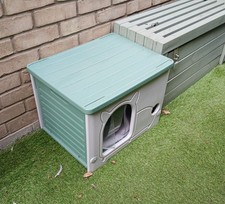 Pet cat kitten for sale  LONDON