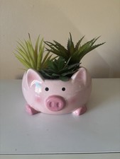 Cute pig succulent for sale  Nogales