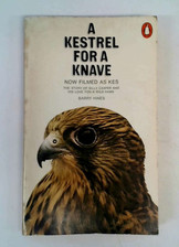 Barry hines kestrel for sale  AMMANFORD