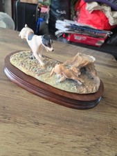 russell terrier for sale russell terrier for sale WHITEHAVEN