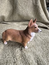 Corgi pembroke welsh for sale  NOTTINGHAM