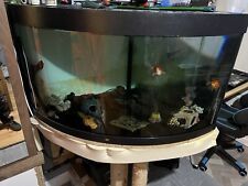 Fish tank hospital for sale  GRAVESEND