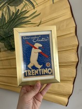 1996 italy trentino for sale  West Hartford