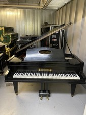 Schimmel leipzig baby for sale  WALLASEY