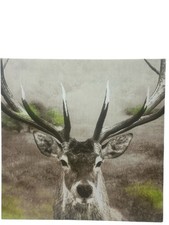 Stag close canvas for sale  WOTTON-UNDER-EDGE