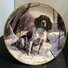 Dog springer spaniel for sale  WAKEFIELD