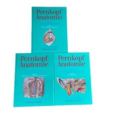 Pernkopf anatomie menschen gebraucht kaufen Pernkopf anatomie menschen gebraucht kaufen  Burghausen