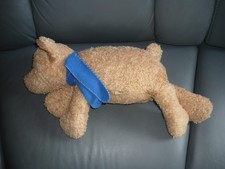 Tcm tchibo bär gebraucht kaufen  Roth