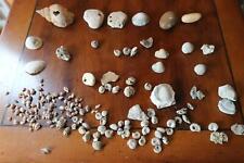 Lot fossiles pierres d'occasion  France