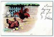 1906 rooster chicken for sale  Terre Haute