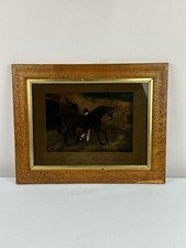 Theonl thoroughbred horse for sale  Watertown