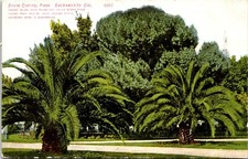 Postcard sacramento state for sale  Sarver