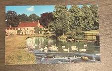 Superb colour postcard for sale  NEWCASTLE UPON TYNE