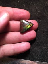 Fossil ammolite cabochon for sale  Cairo
