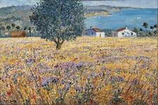 Farmhouses field the usato  Pescara